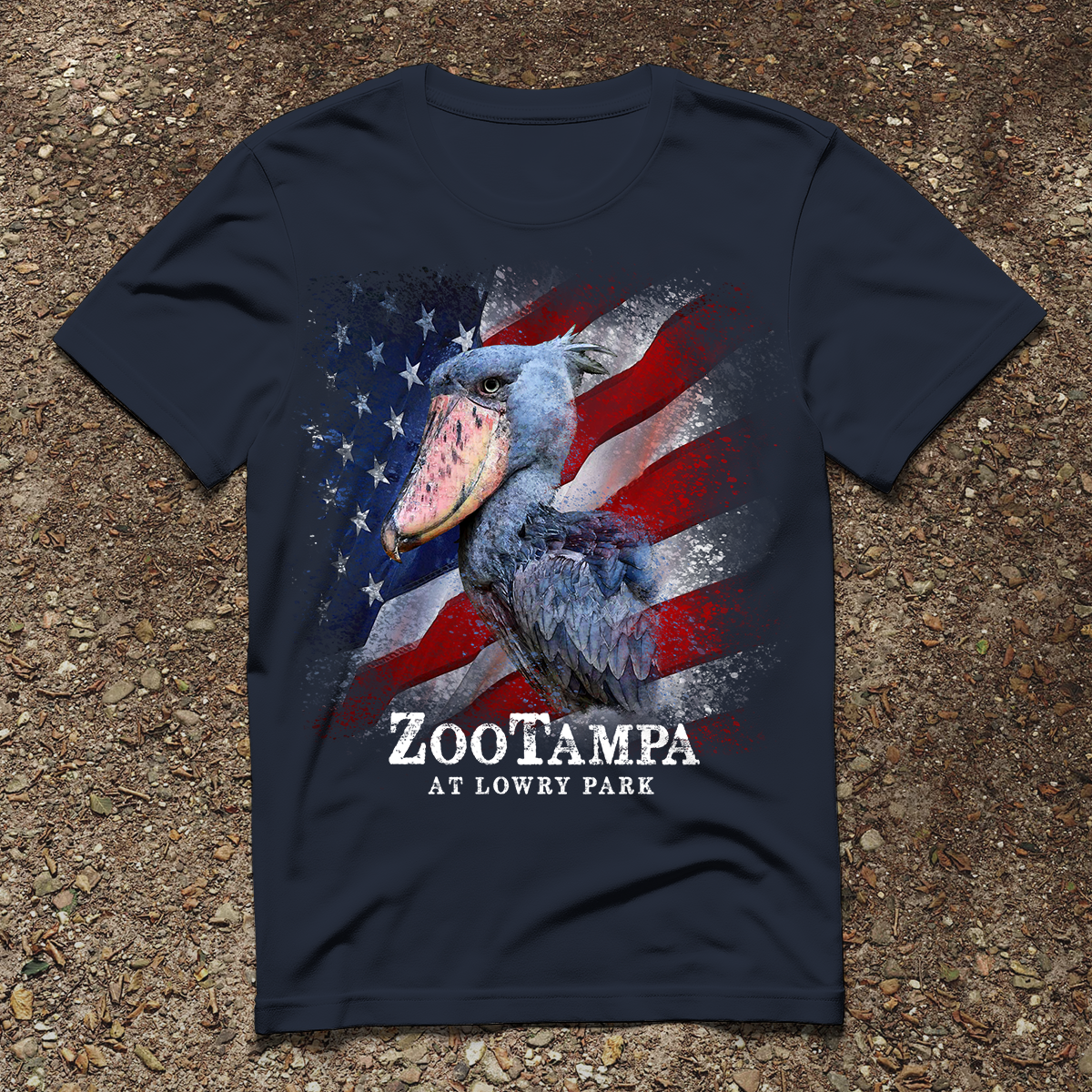 ZOO — SHOEBILL